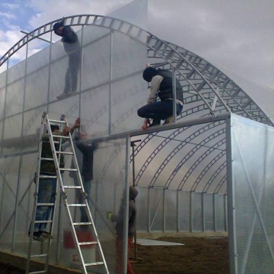 Agricultural Single Span Multi Span Commercial Polycarbonate Greenhouse For Agriculture