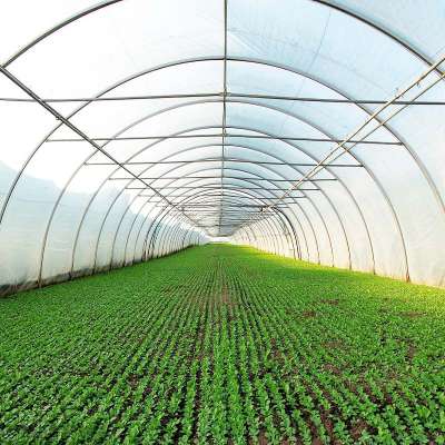 Hot Sale Factory Price Commercial Plastic Film Tunnel Greenhouse