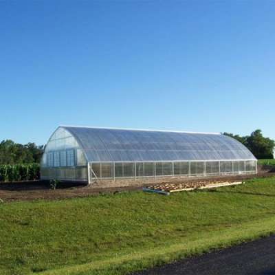 Agricultural 50x8m Single-span Type Tunnel Greenhouses