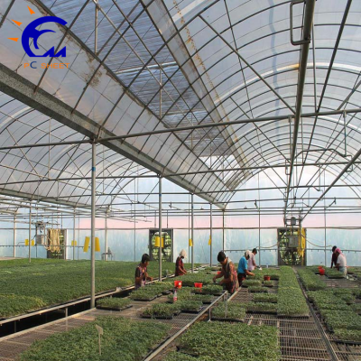 Large Commercial Green Houses Agriculture Greenhouse