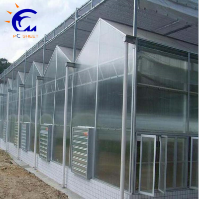 Complete Polycarbonate Sheet Agricultural Greenhouse Turnkey Project With Quick Construction