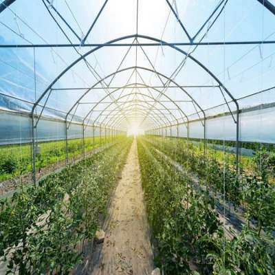 Agriculture Other greenhouses Productive Invernadero Serre