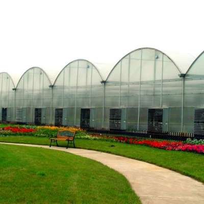 Optimal Economic Greenhouse Invernadero Galvanized Steel Frame Macro Tunnel Greenhouse