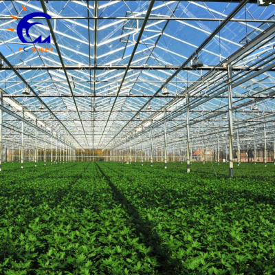 10mm Polycarbonate Cover Agricultural Pc Greenhouse For Sale